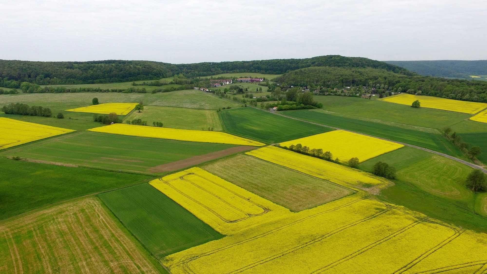 Hessen Hotelpark Hohenroda Hohenroda  Bagian luar foto